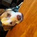 Oliver