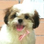 shop-member-photo