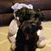 Norbert