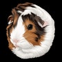 shop-member-photo