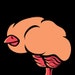 Birdbrains