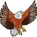 Cypress Collectibles
