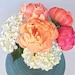 Peony Love