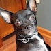 Pablo