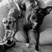 Toby & Zella Macon