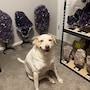 shop-member-photo