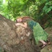 Dryad
