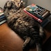 Edgar