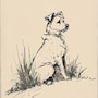 shop-member-photo