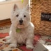 maggie