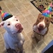 Jake & Bella