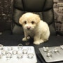 shop-member-photo