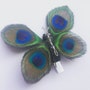 shop-member-photo