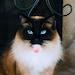Chloe