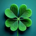 Clover
