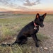 Kaia