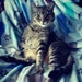 Tiggy 🌈