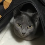 shop-member-photo