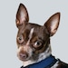 Paco