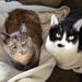 Pickles & Snookie