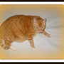 shop-member-photo