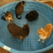 My cute babies