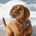 Kona