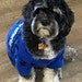 Koda