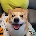 Ein