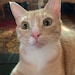 Mr. Theodore Waffles