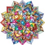 shop-member-photo