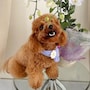shop-member-photo