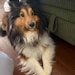 Winston
