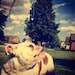 Izzy