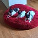 Lexi, Zoe, Sparky