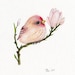 Amal