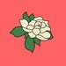 Pin Blossoms