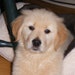 Skyler