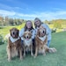 Nancy Williamson & C.J. Towles