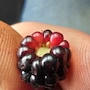 shop-member-photo