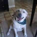 Kathie