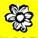 Karen Z.