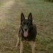 Argo