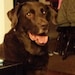 Hershey