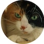 shop-member-photo