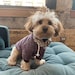 Pixel