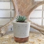 shop-member-photo
