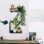 shop-member-photo