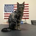 Prince Fluffybottom "Kitty"