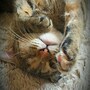 shop-member-photo